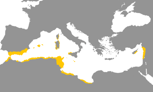 Map of the area where Phoenician is spoken