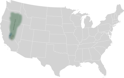 Map of the area where Northern Paiute is spoken
