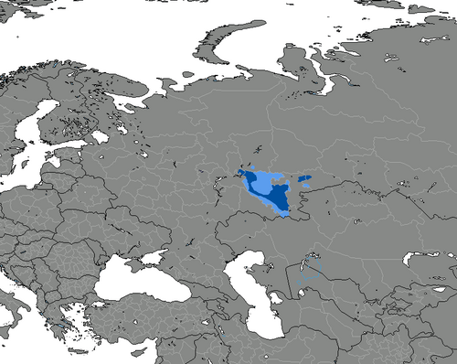 Map of the area where Bashkir is spoken