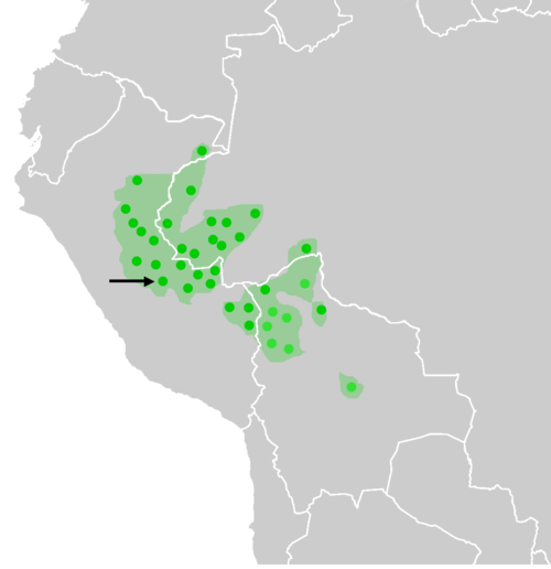 Map of the area where Amahuaca is spoken