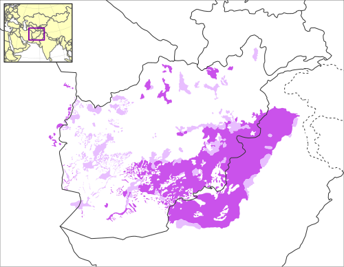 Map of the area where Pashto is spoken