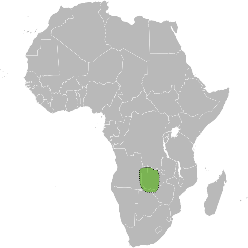 Map of the area where Lozi is spoken