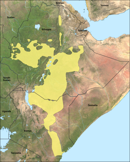 Map of the area where Oromo is spoken