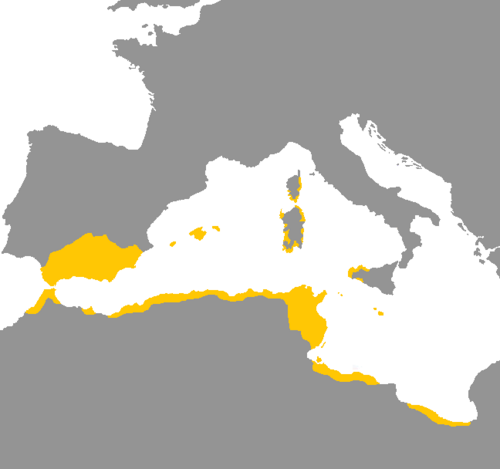 Map of the area where Punic is spoken