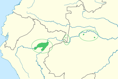 Map of the area where Cocama is spoken