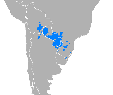 Map of the area where Guarani is spoken