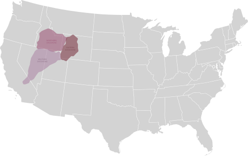 Map of the area where Shoshoni is spoken