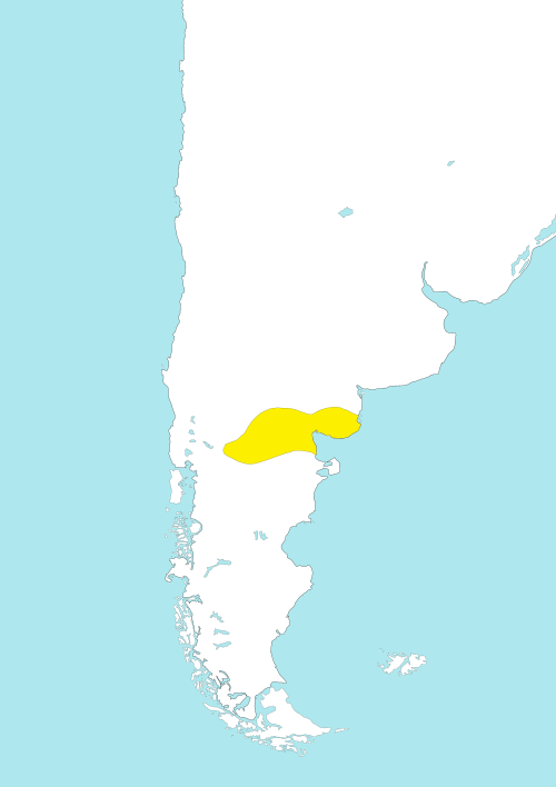 Map of the area where Puelche is spoken