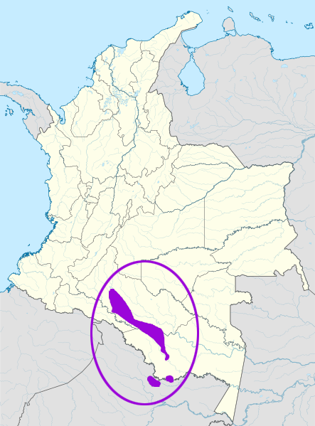 Map of the area where Minica Huitoto is spoken